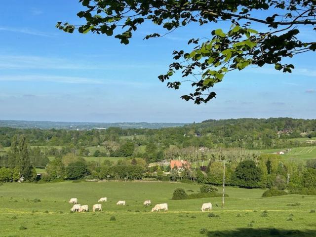 La Maison Beaumont - Normandie Exteriör bild
